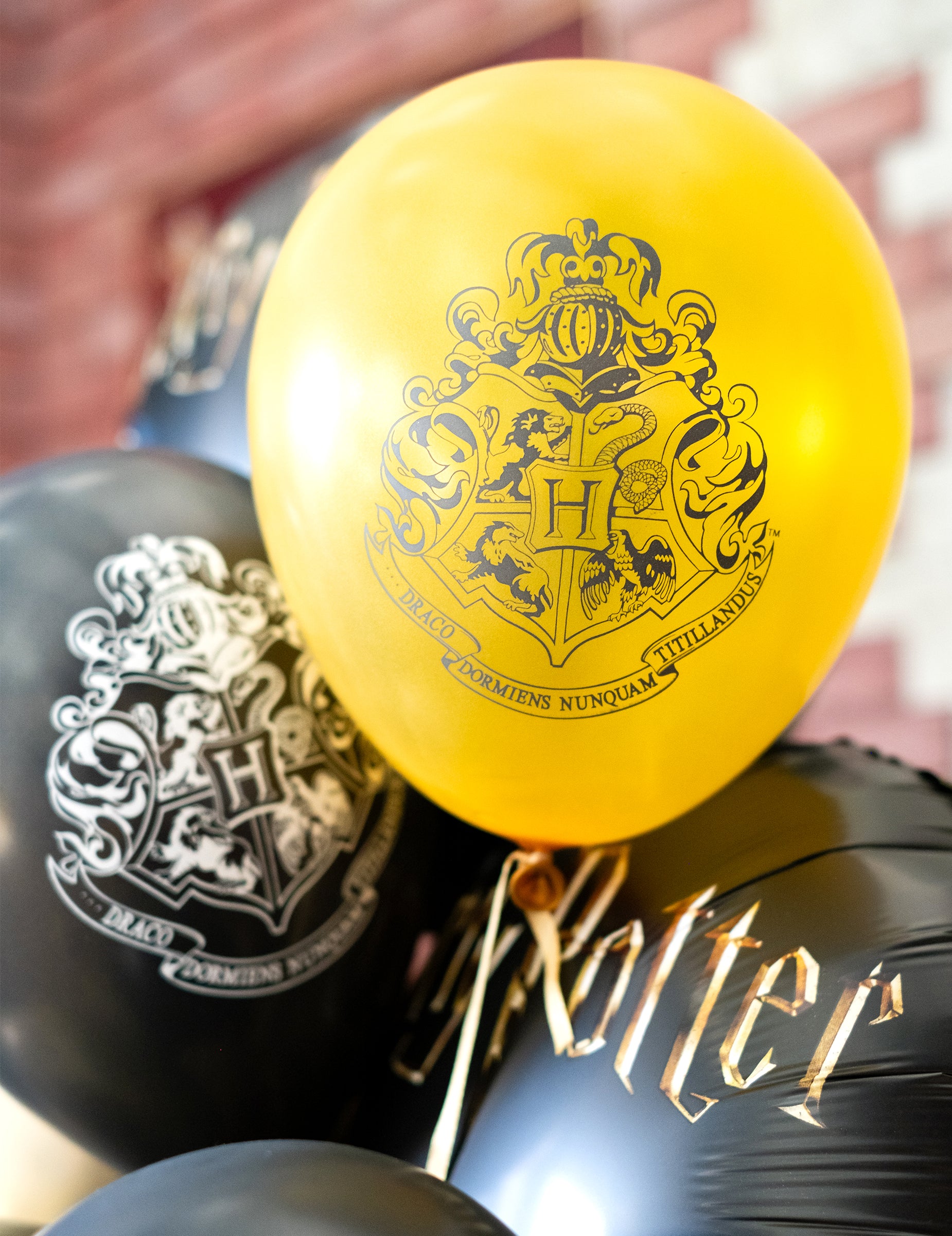 Détail du blason et du logo des 10 ballons latex Harry Potter