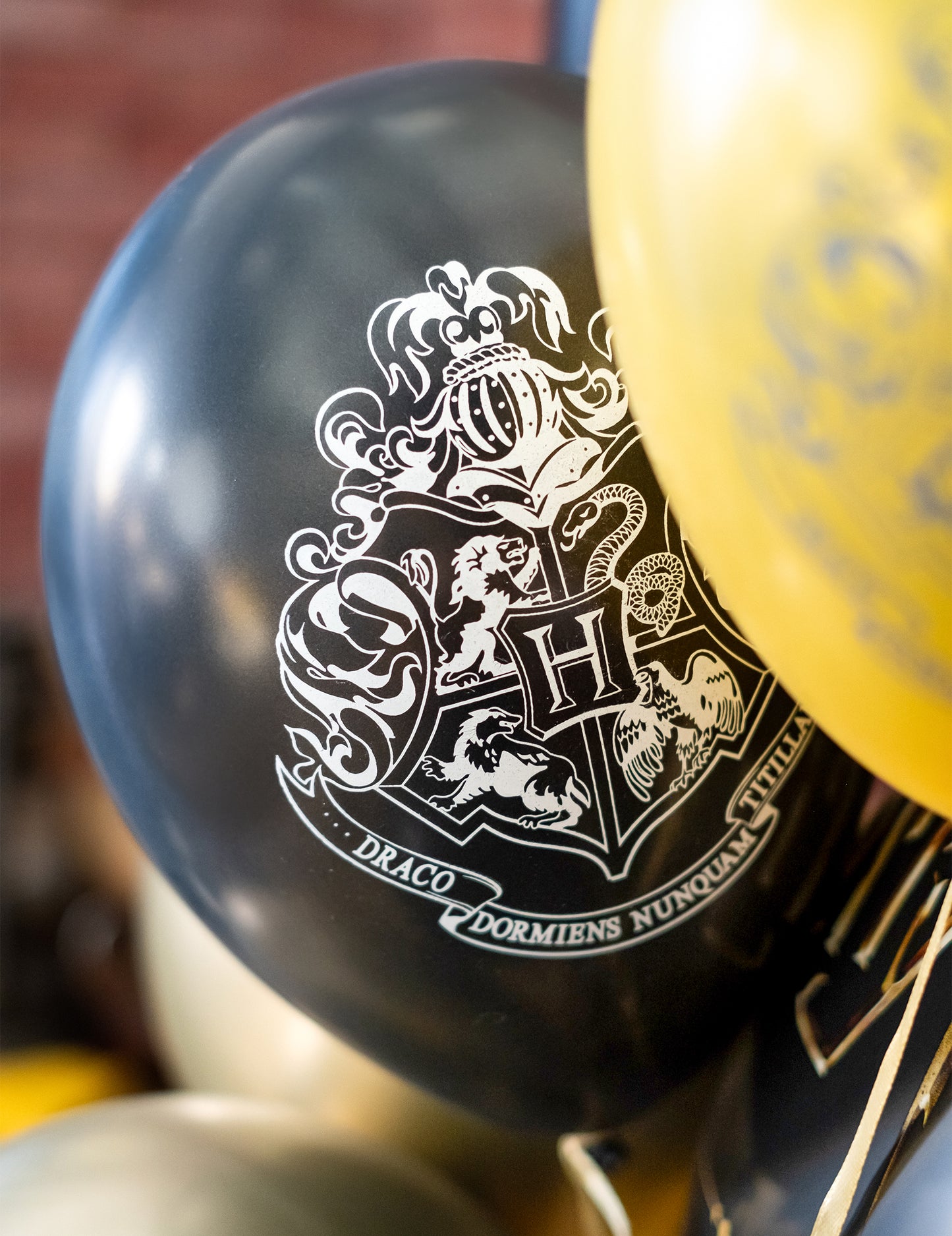 Gros plan sur le blason de Poudlard du ballon noir des 10 ballons latex Harry Potter