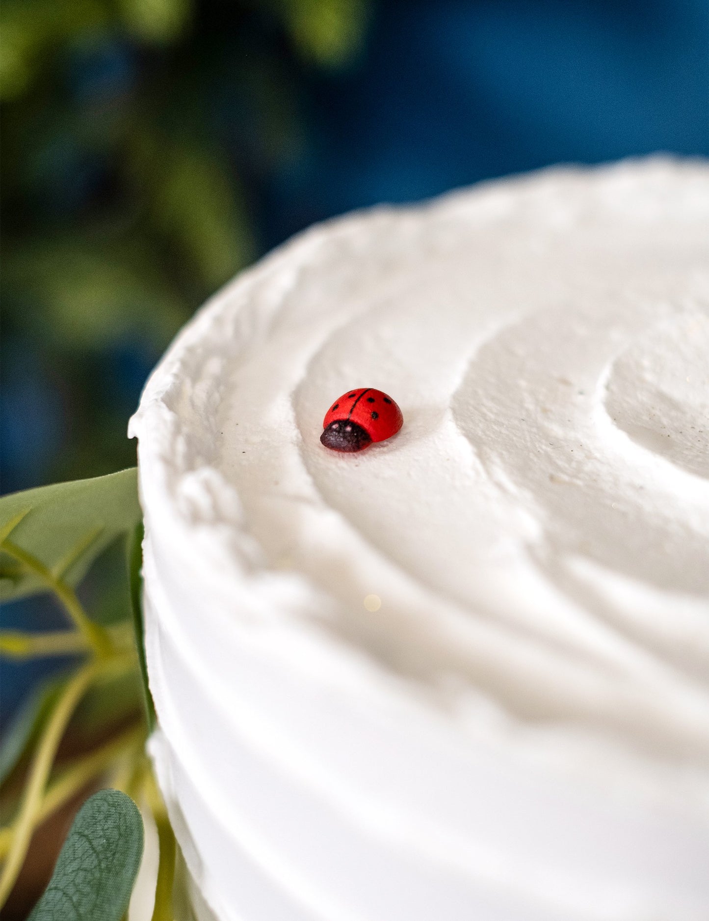 10 buburuze din lemn roșii și negre 1,5 cm pentru decorare 