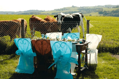 10 huse de scaun premium în culoarea ciocolatei, 50 x 95 cm cm material nețesut cu noduri