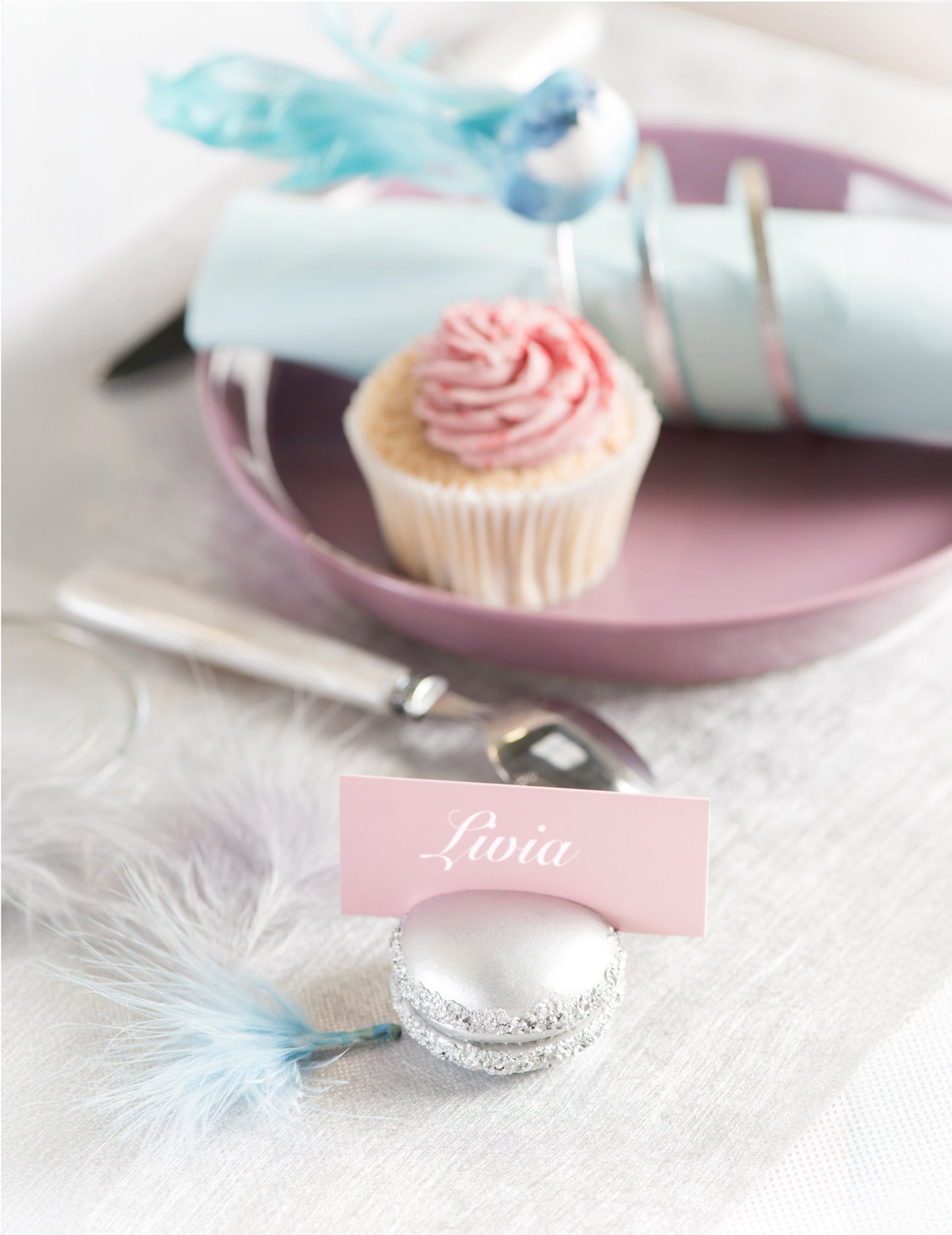 10 suporturi pentru nume dreptunghiulare roz deschis din carton 