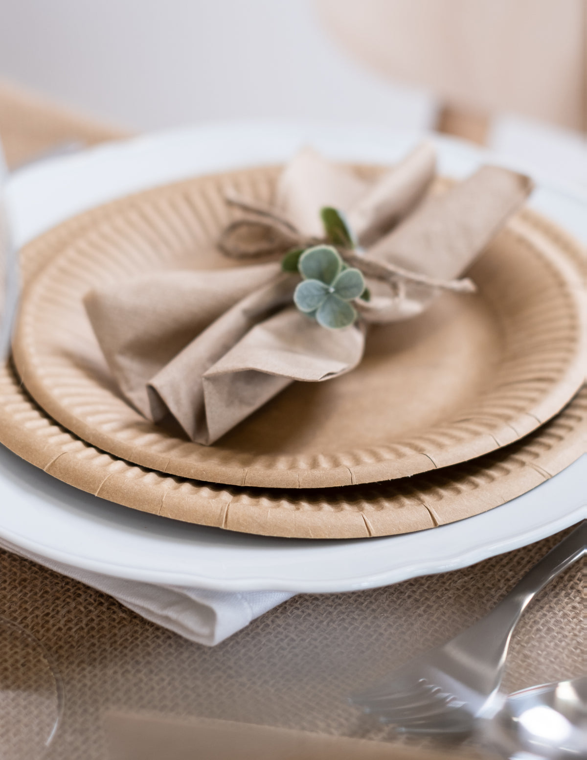 Mise en situation sur une table des assiettes en carton kraft marron recyclables