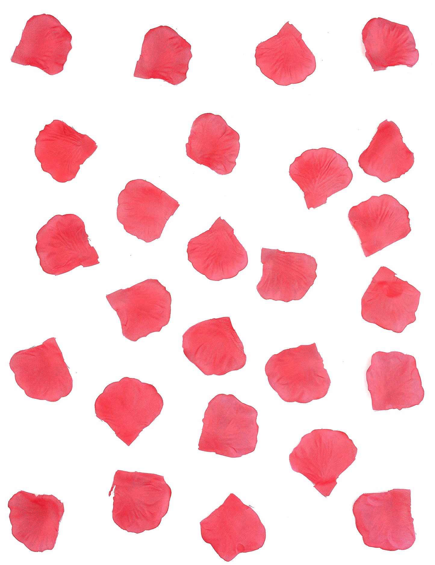 Détail de la texture du 100 pétales de rose mariage