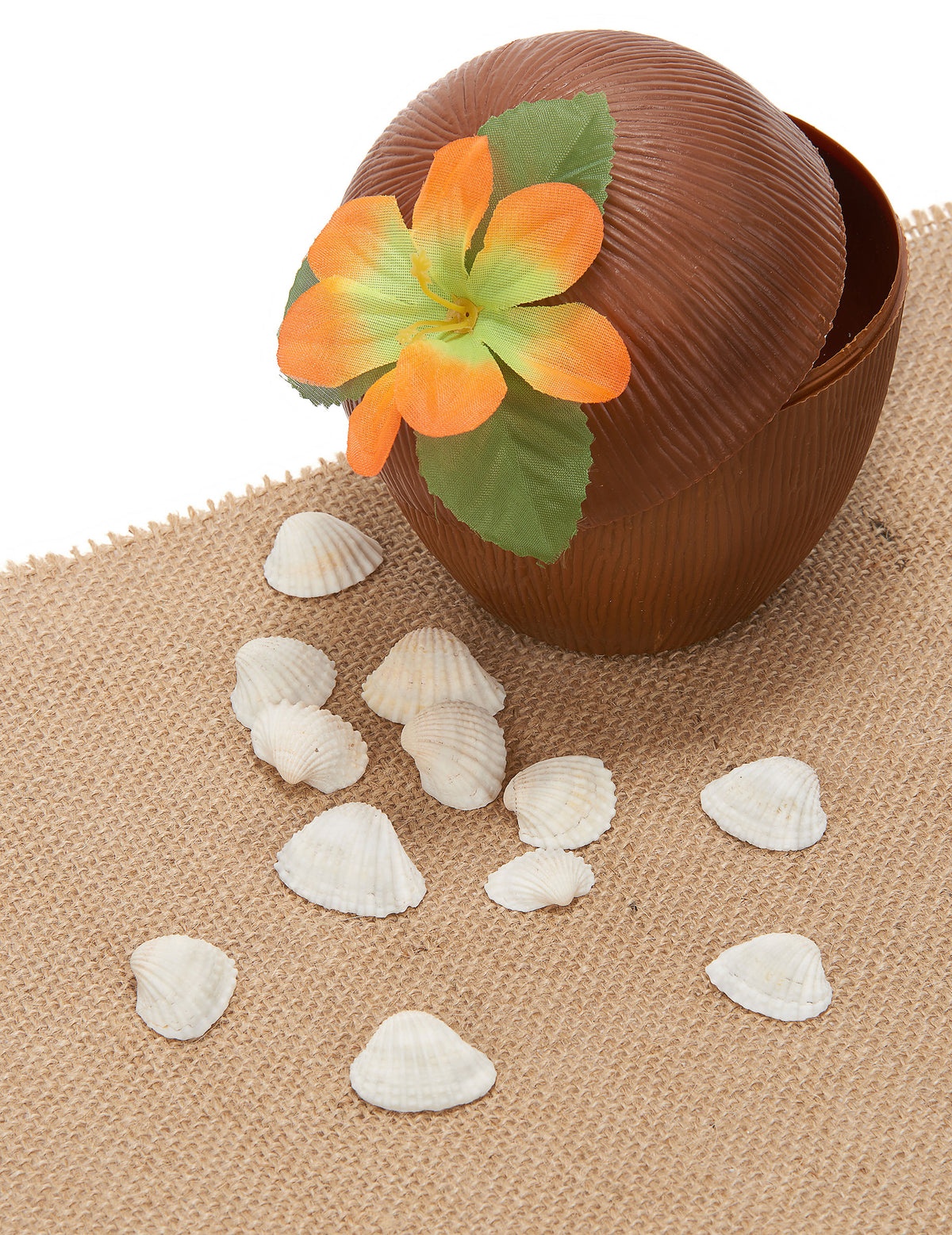 Mise en scène décorative des 12 coquillages de décoration thème marin