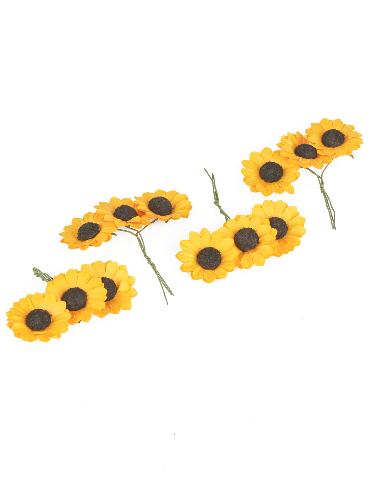 Détail des tiges vertes des 12 fleurs des champs type tournesols