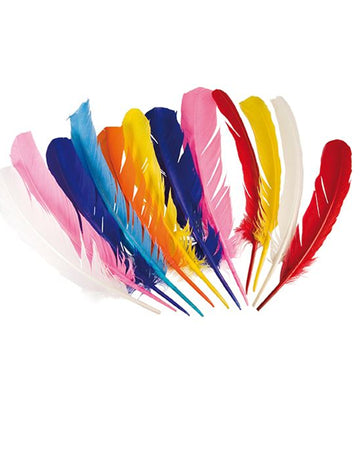 12 pene indiene multicolore 30 cm