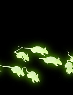 Decorațiune fluo