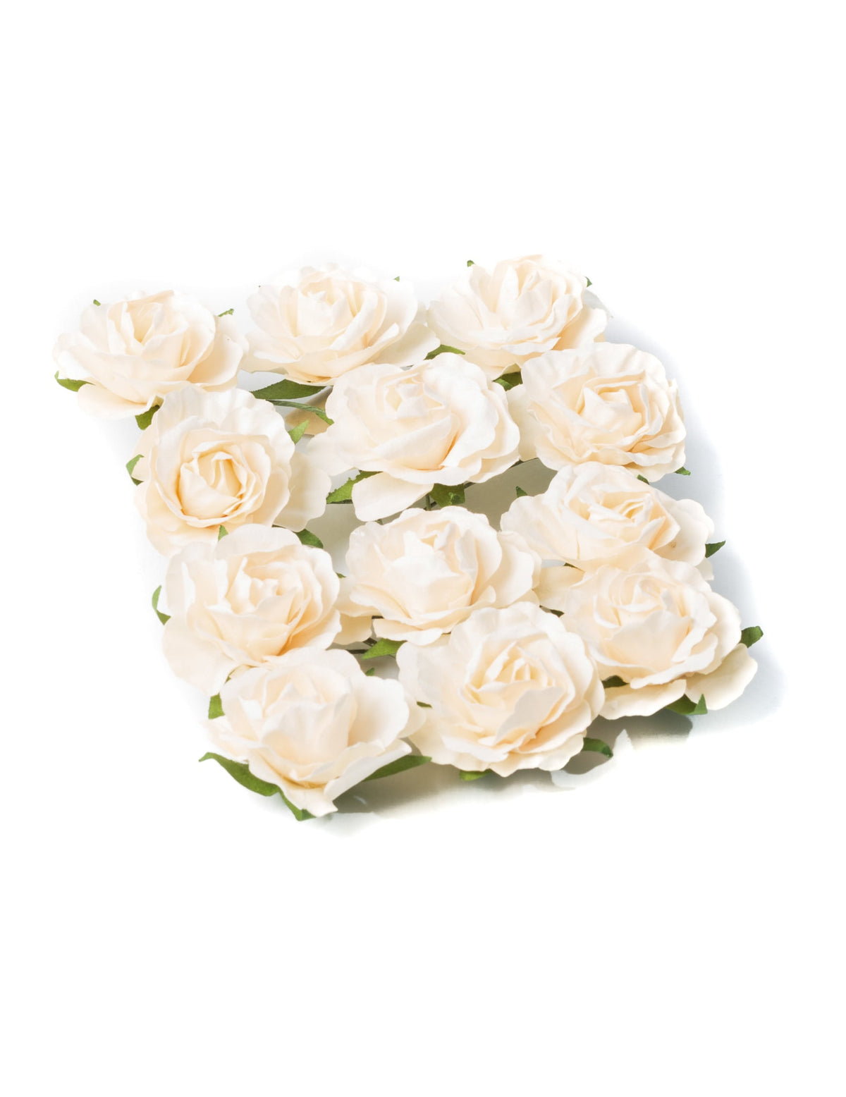 12 roses à piquer pour décoration ivoire sur tige souple