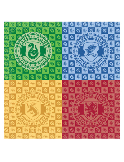 16 Șervețele de hârtie Harry Potter™ Case