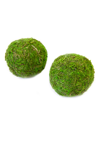 2 bile de mușchi verde natural 7 cm decorarea mesei