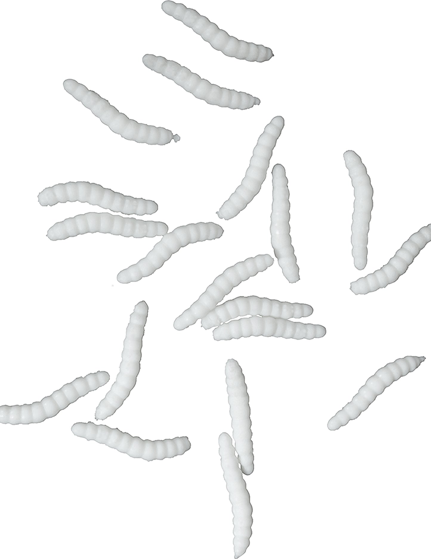 20 Astticots alb manechin alb 4 cm
