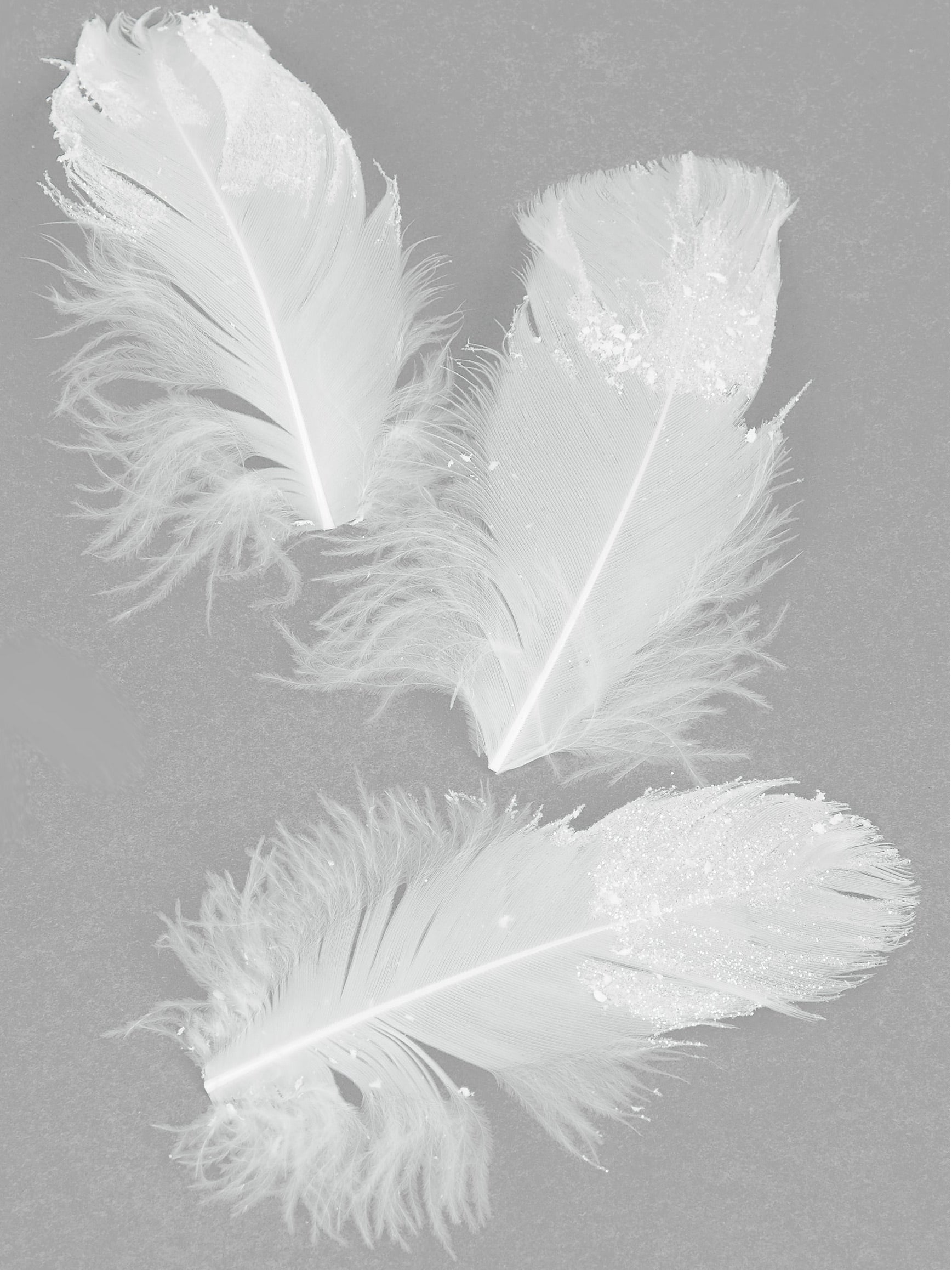 Plumes pailletées pour décoration blanches scintillantes
