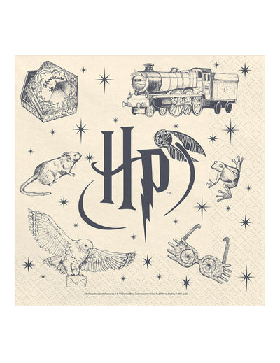 20 Șervețele Harry Potter™ 33 x 33 cm