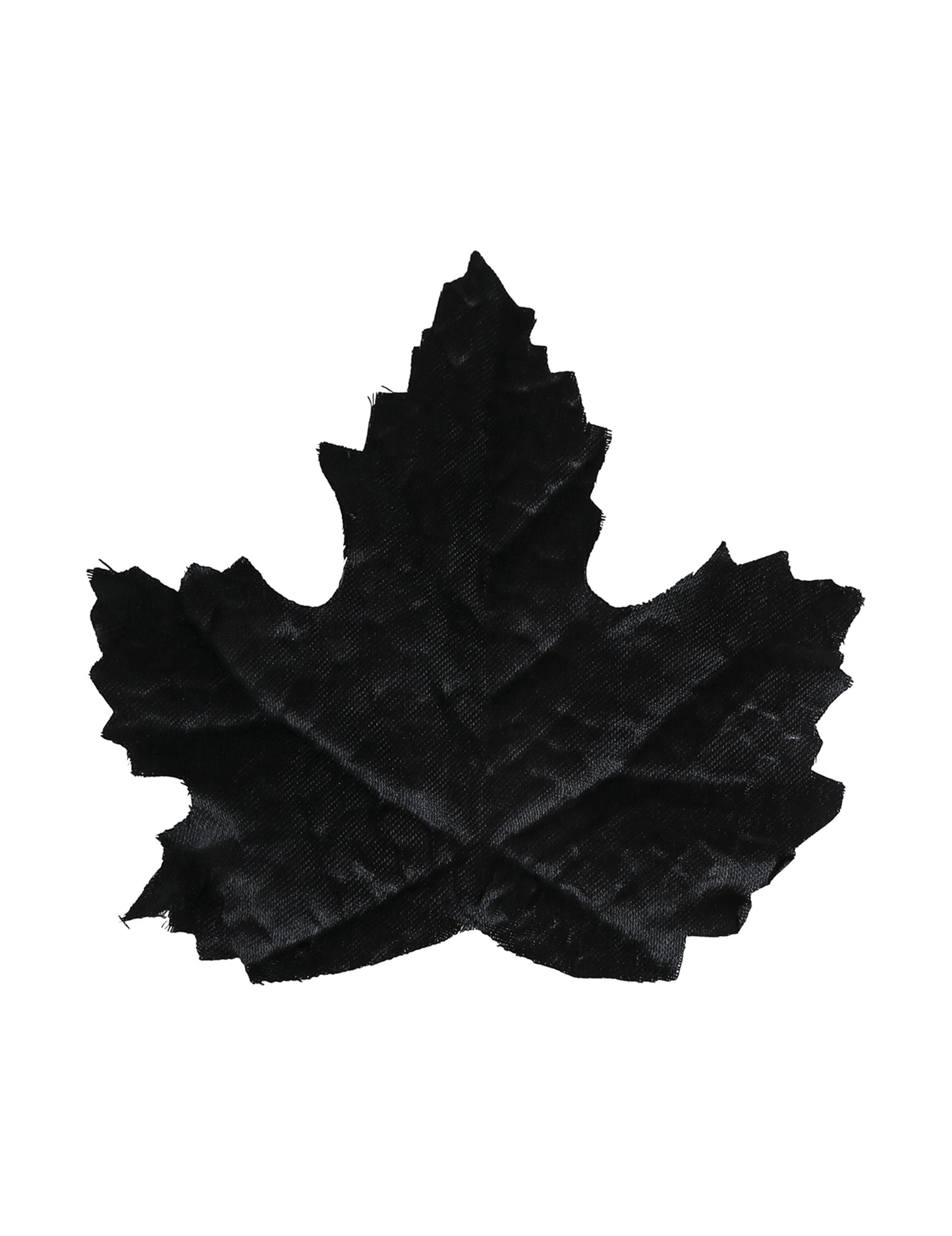 24 Frunze Negre 10 cm