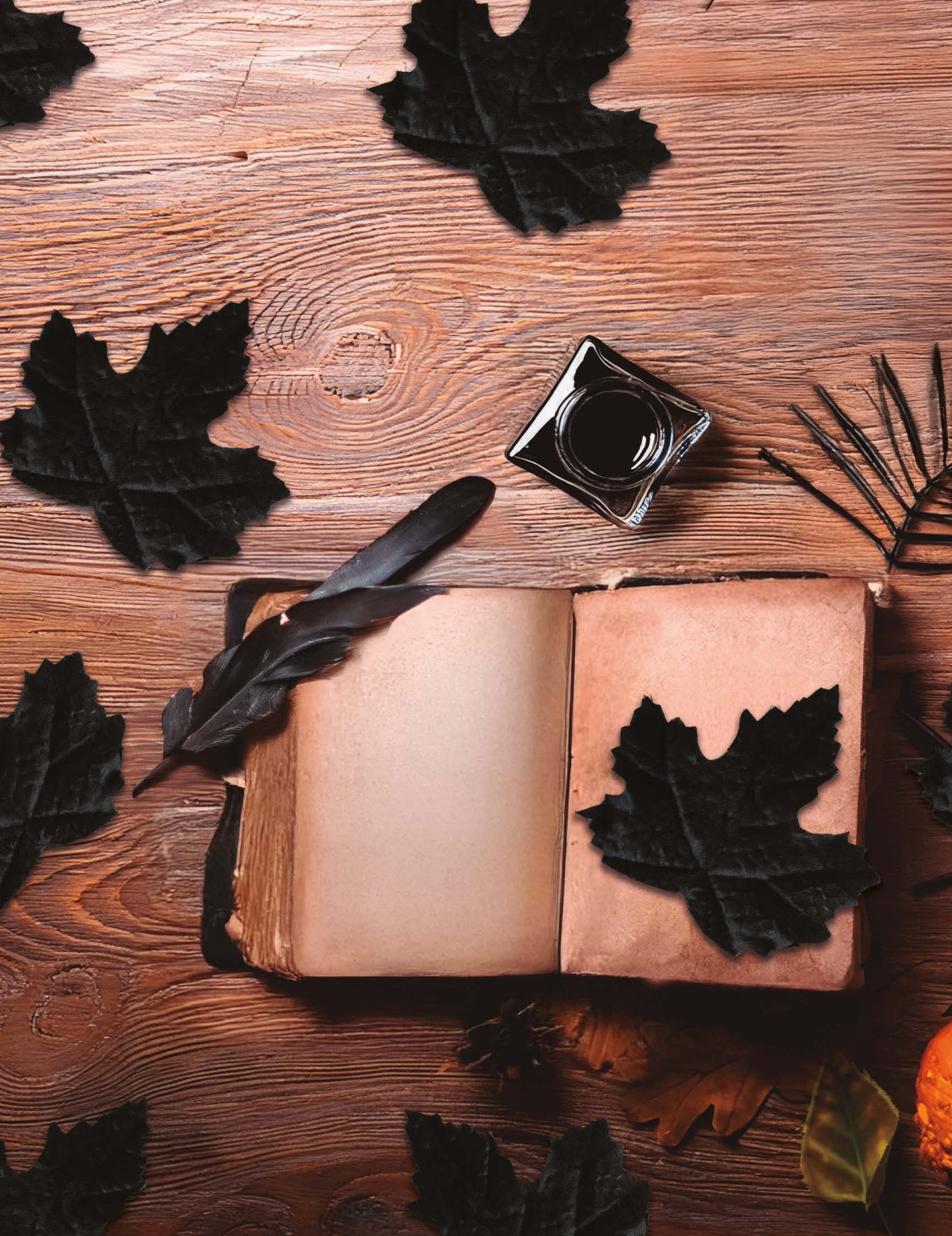 24 Frunze Negre 10 cm