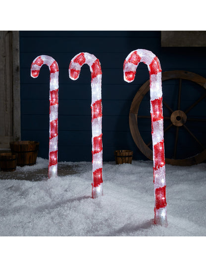 3 decorațiuni luminoase din acadele 70 cm a planta