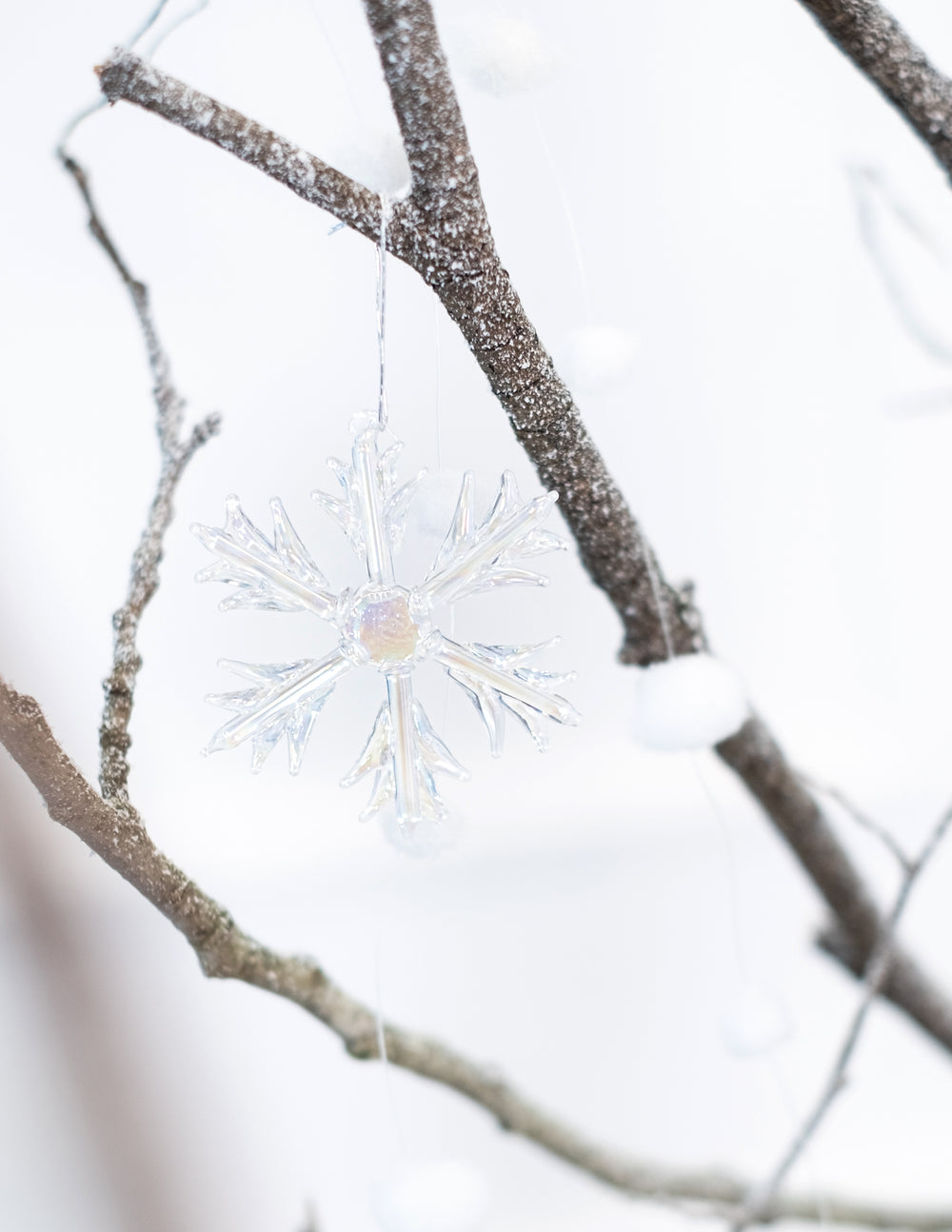 Suspension sur une branche du flocons en verre à suspendre pour sapin iridescents