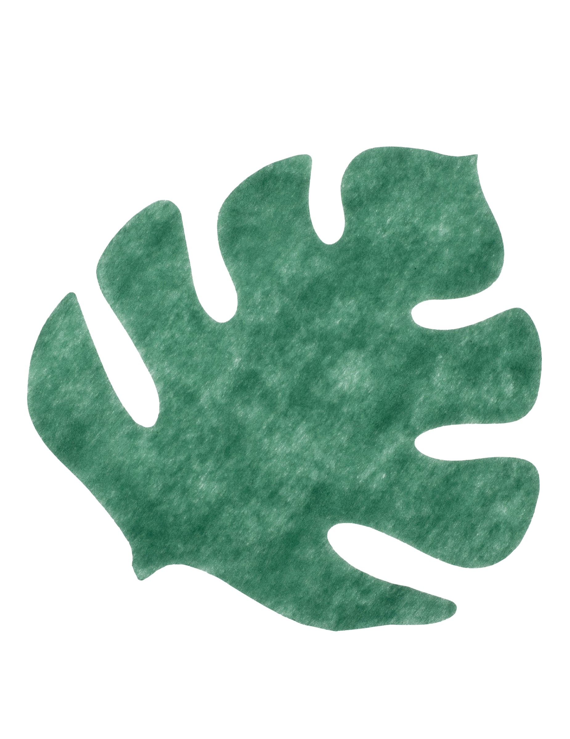 Set de table feuille tropicale pour décoration exotique vert intissé