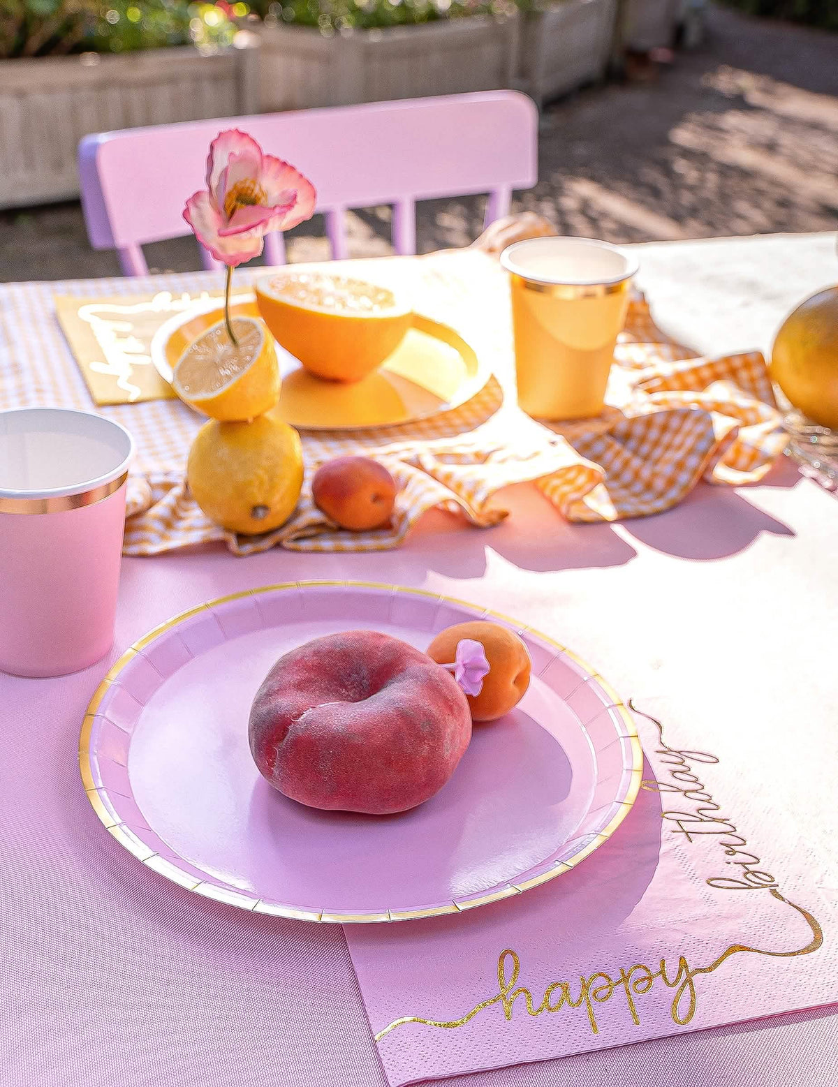 6 Assiettes en carton pastel à bord doré 21 cm