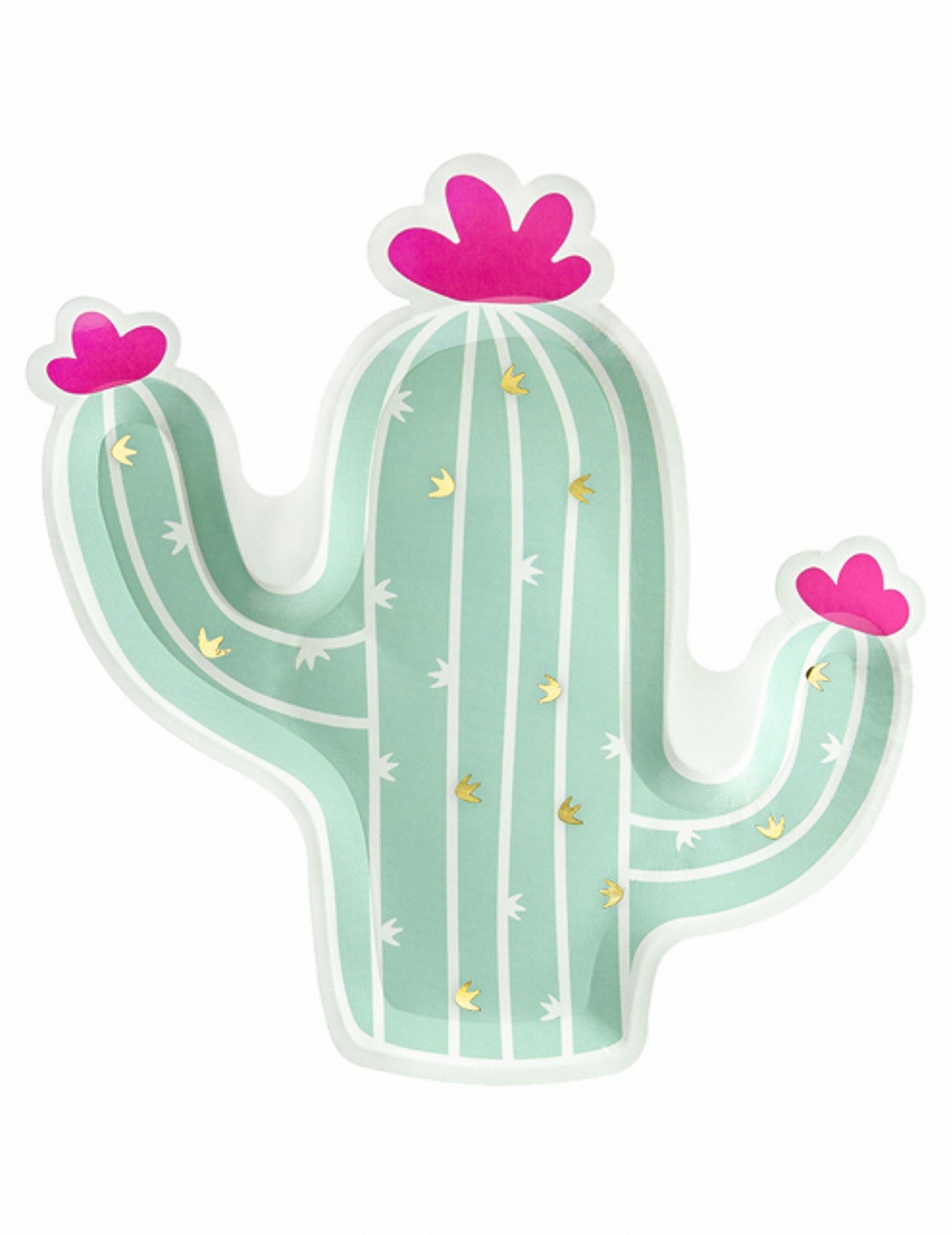 Assiettes en carton cactus pour fête menthe fuchsia et dorées