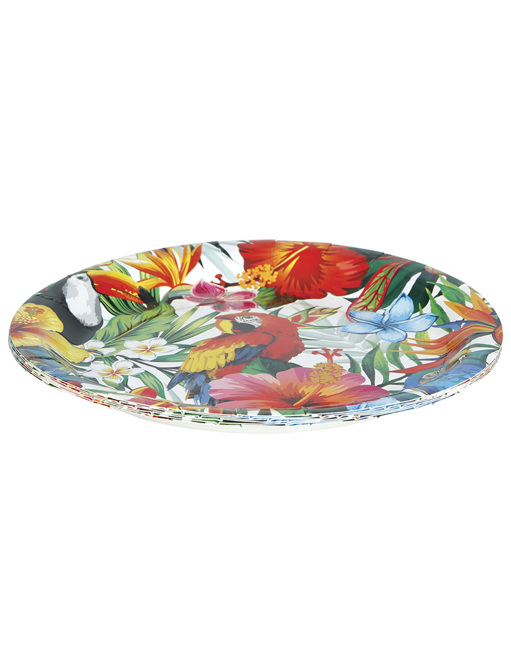 Vue de profil des assiettes oiseaux tropicaux