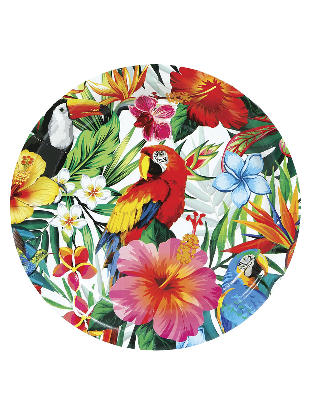 Assiettes oiseaux tropicaux multicolores avec perroquets et fleurs exotiques