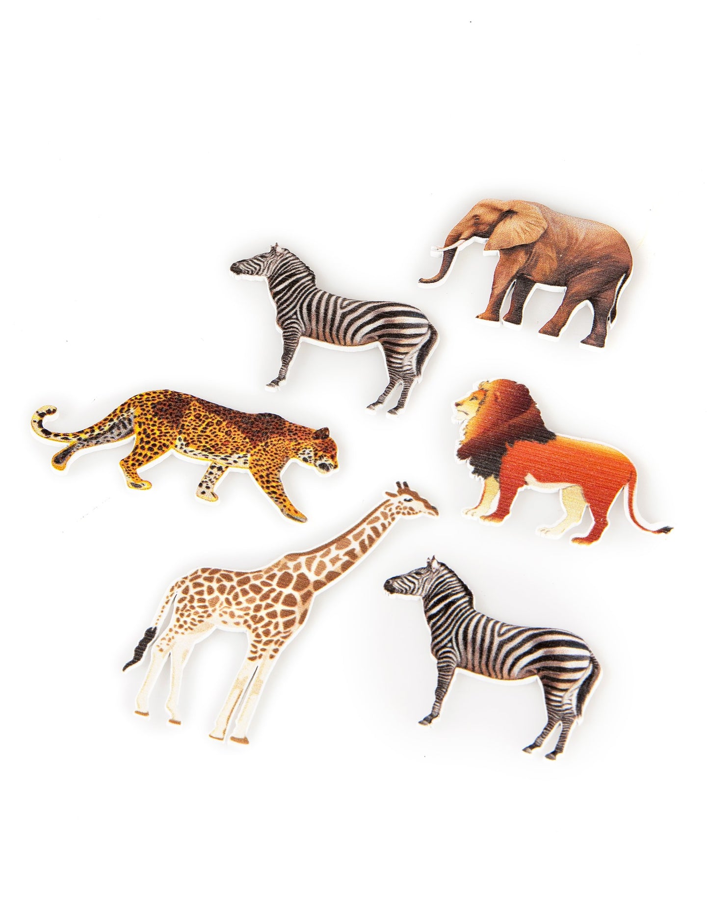 6 Tabel Confetti Animalele Savannah 7,5 x 5,5 cm