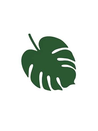 Conținut decorativ de masă în formă de frunză hawaii monstera pe o farfurie