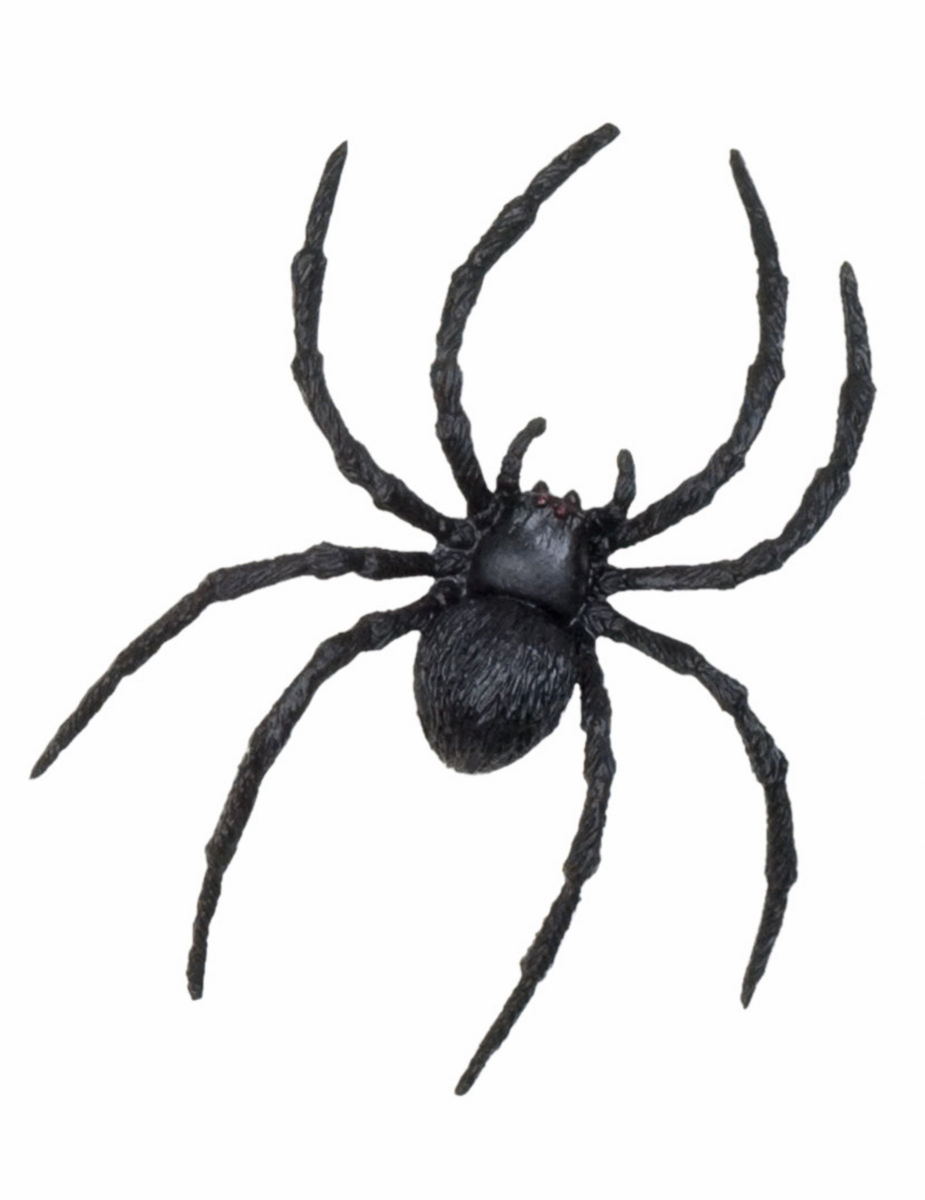 Détail de l'araignée des décorations petites créatures Halloween