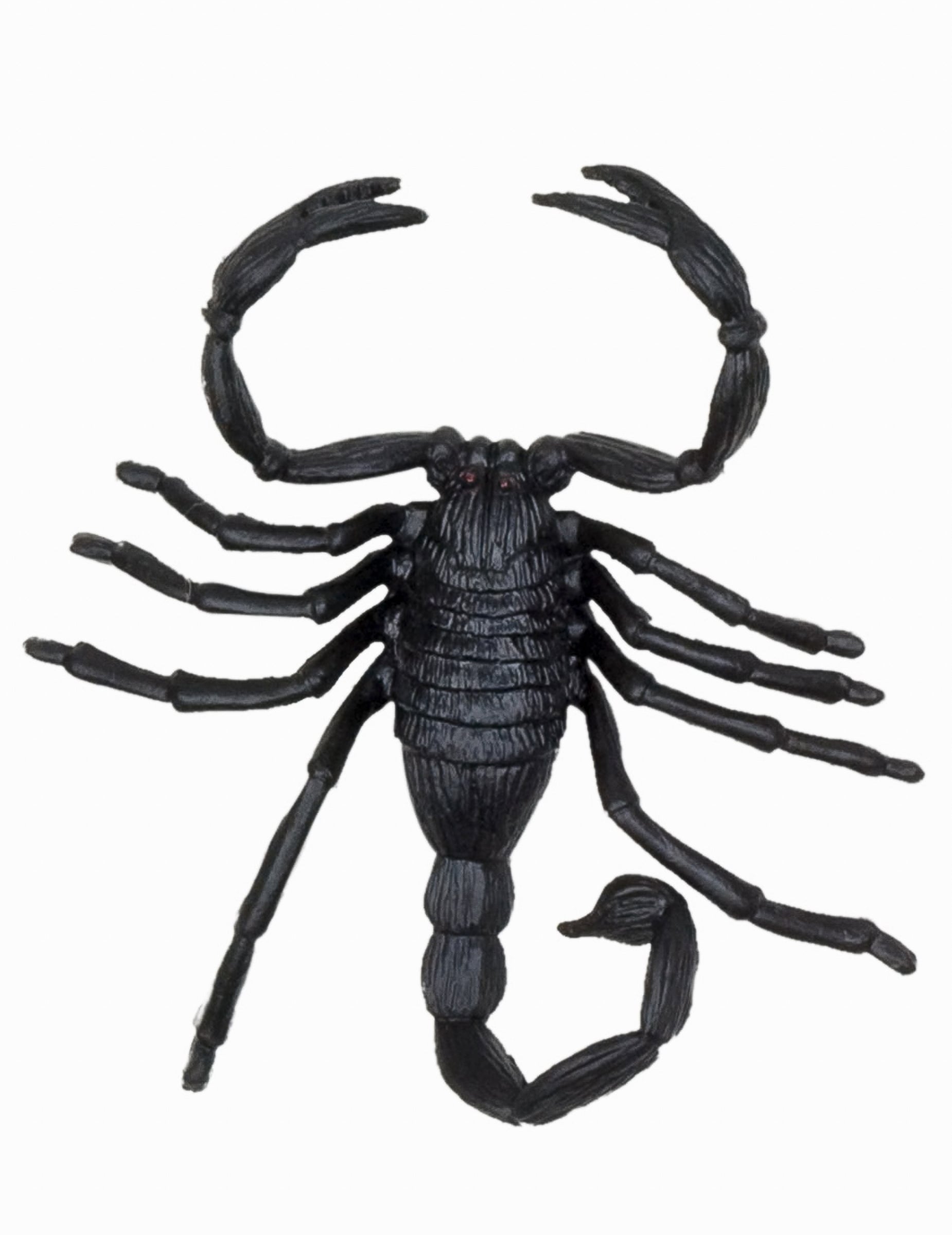 Détail du scorpion des décorations petites créatures Halloween