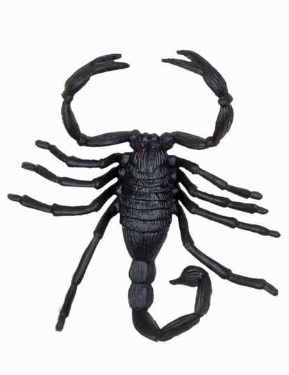 Détail du scorpion des décorations petites créatures Halloween