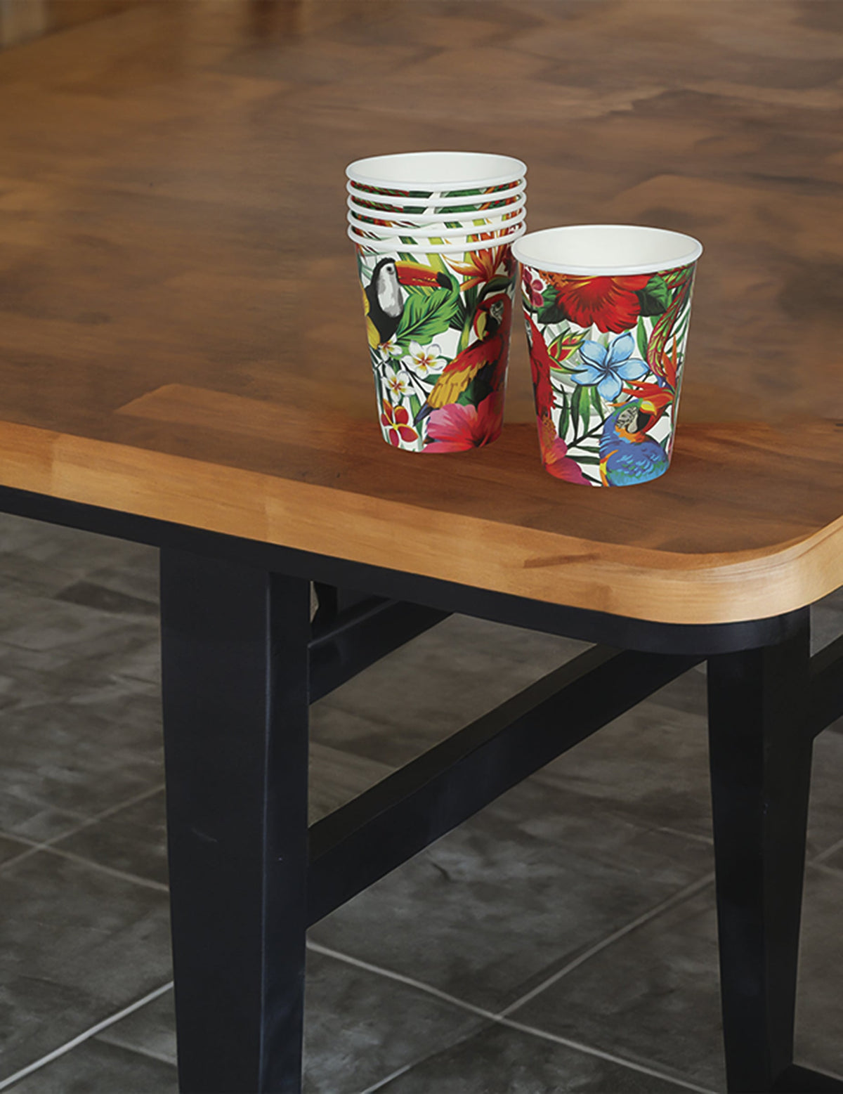 Gobelets oiseaux tropicaux pour fête multicolores avec motifs toucan et perroquet