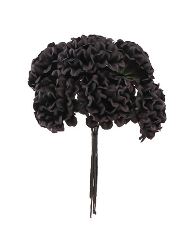 6 mini hortensias noirs 14 cm