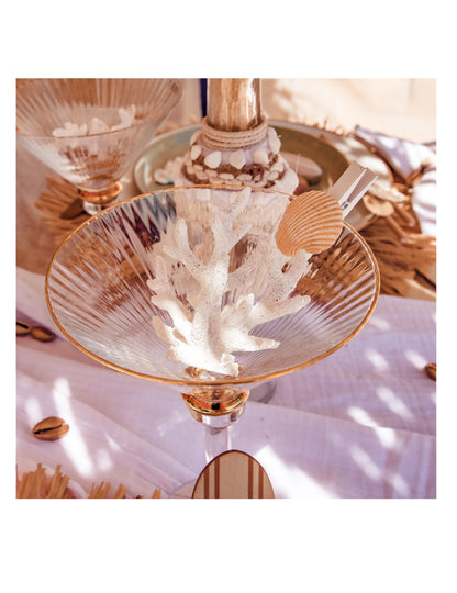 6 cleme din rășină pentru scoici 4,5 cm lemn alb