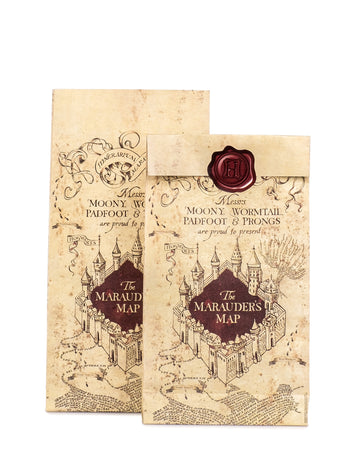 6 pungi cadou Harry Potter