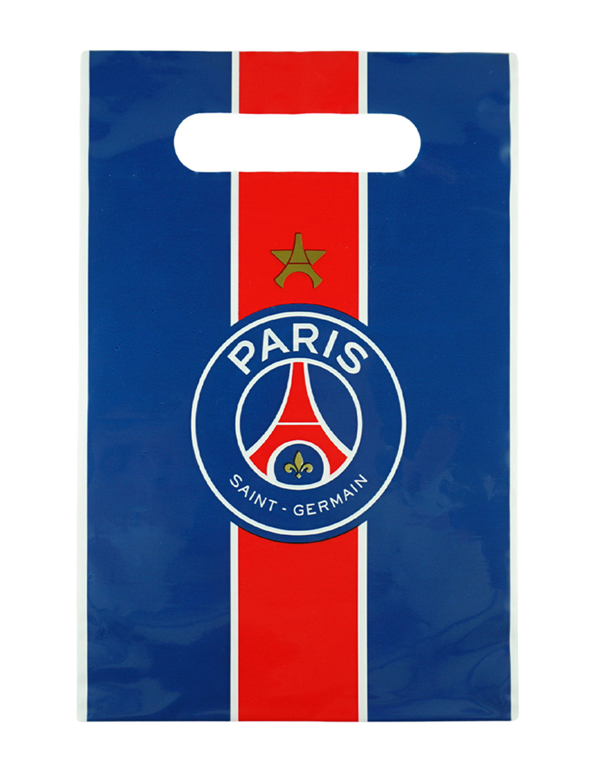 6 pungi PSG™ pentru ziua de naștere 23 x 15 cm