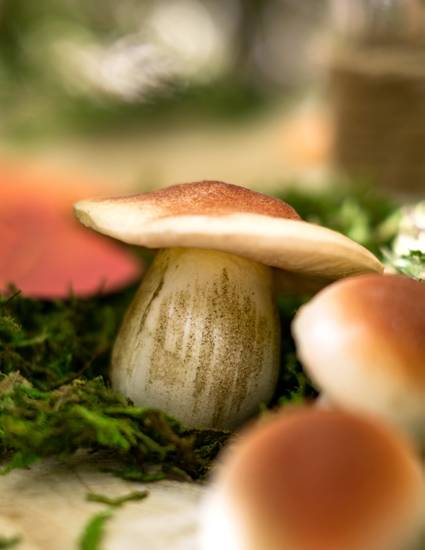 7 ciuperci de spumă 3 cm - 6,5 cm