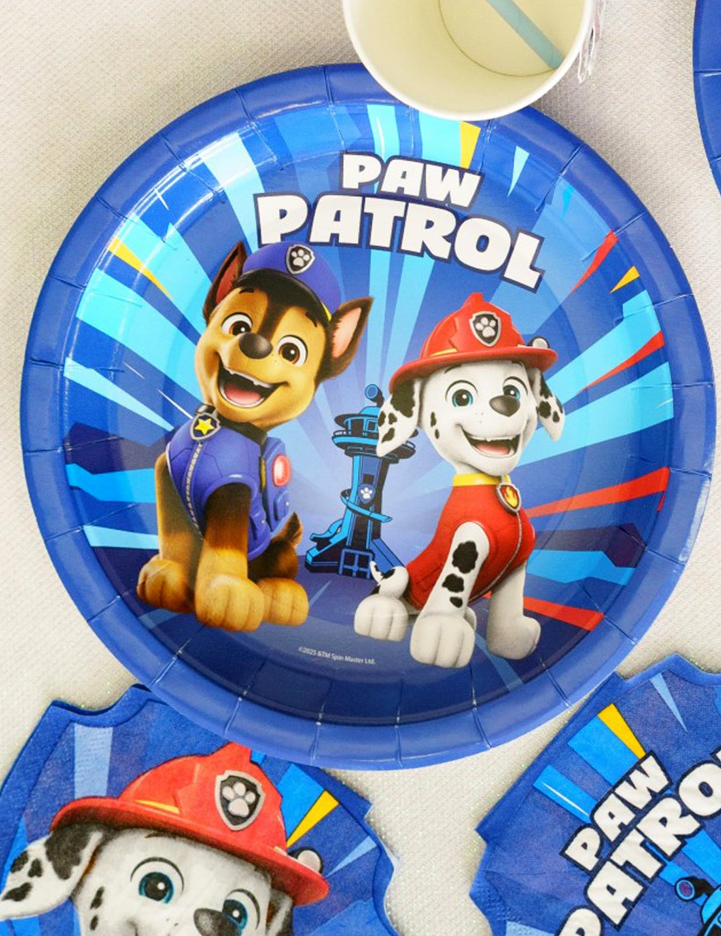 8 farfurii albastre din carton Patrula Cățelușilor™ 23 cm