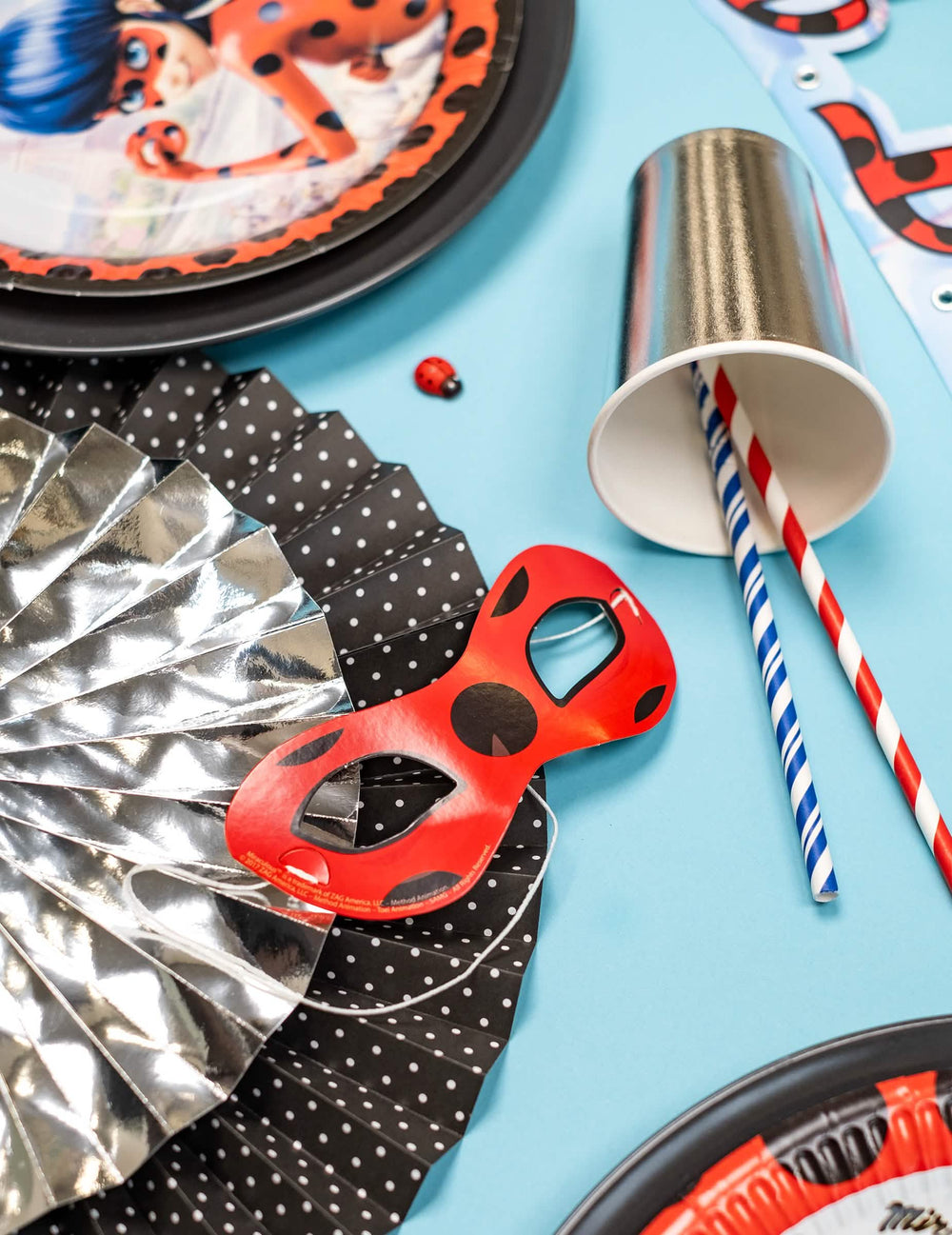Mise în scenă cu accesorii de petrecere, 8 măști din carton Ladybug