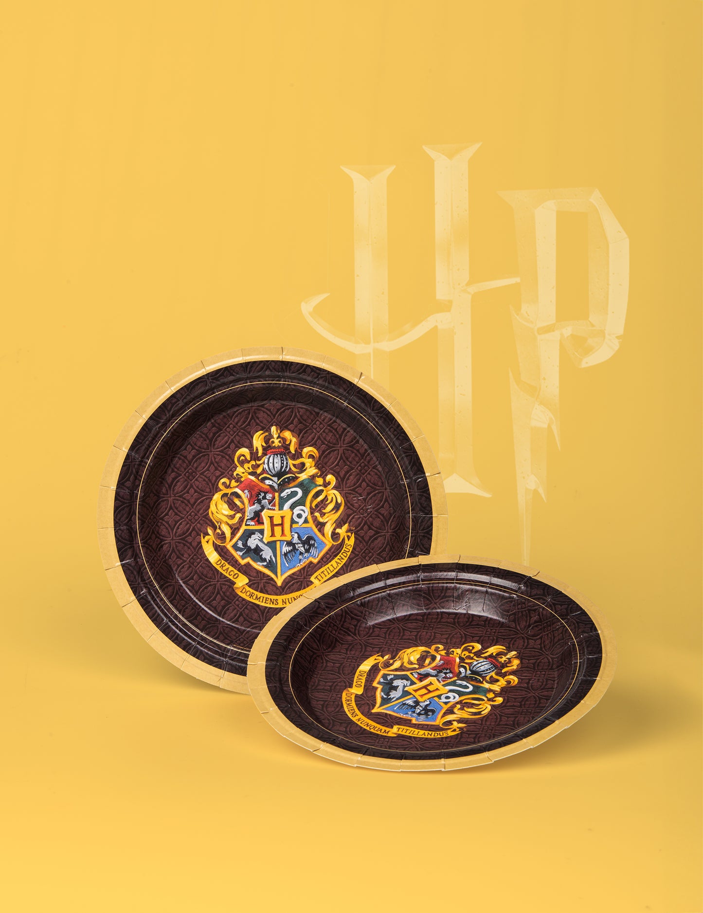 8 plăci mici de carton Harry Potter 18 cm