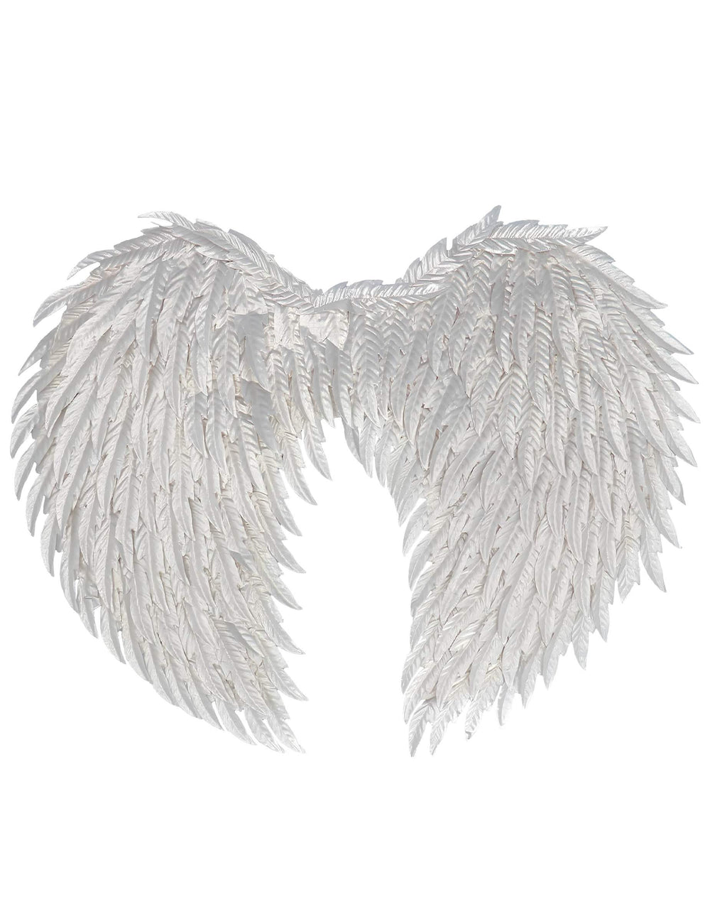 Vue de dos des ailes d'ange glamour