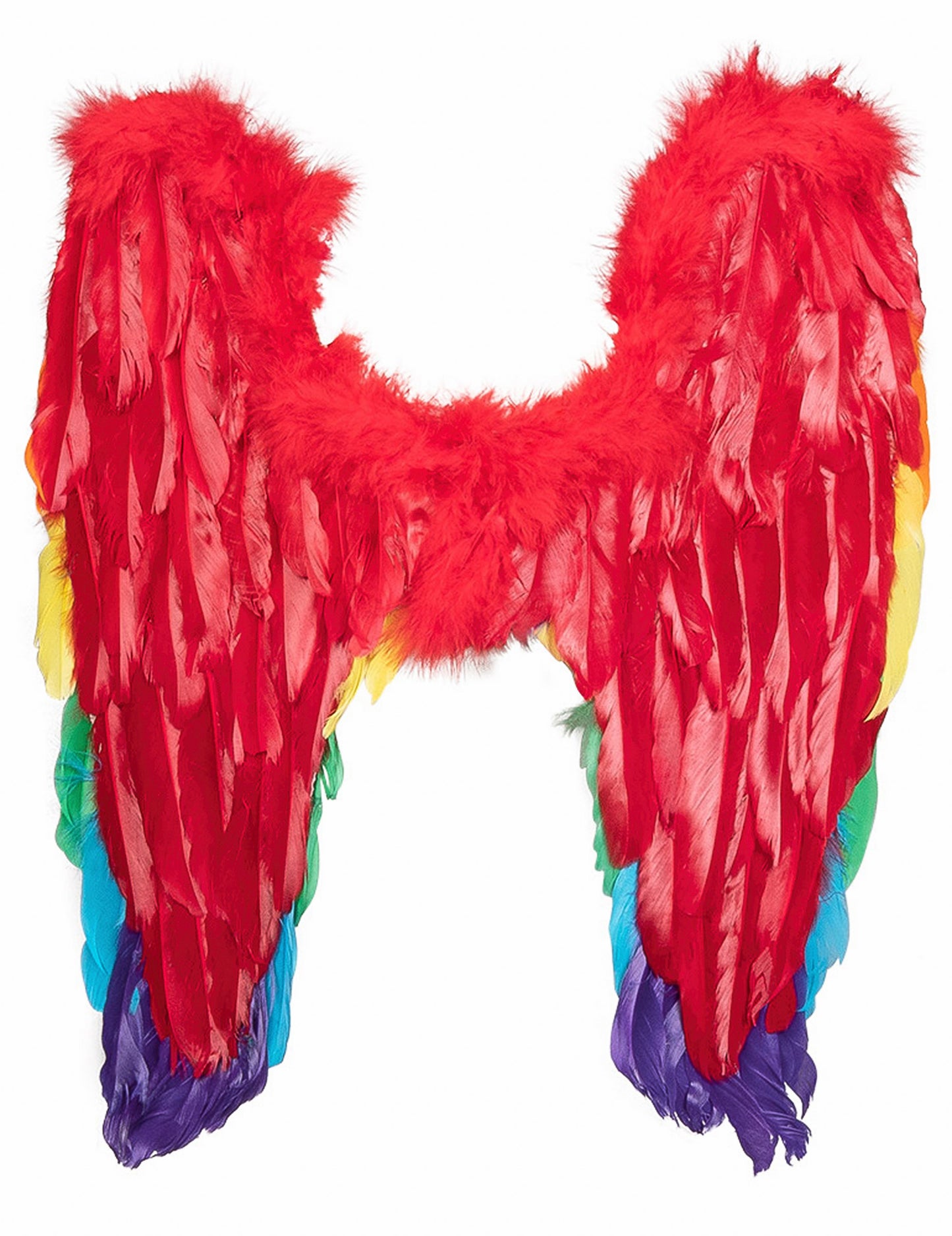 Aripi multicolore 50 x 50 cm adult