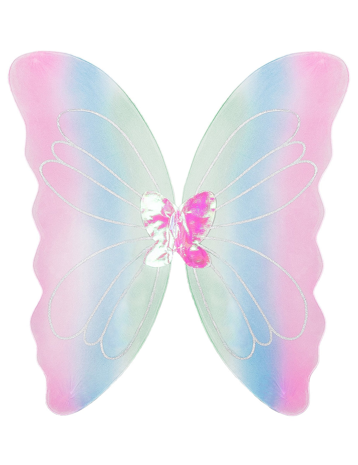 Vue de face des ailes de papillon multicolores