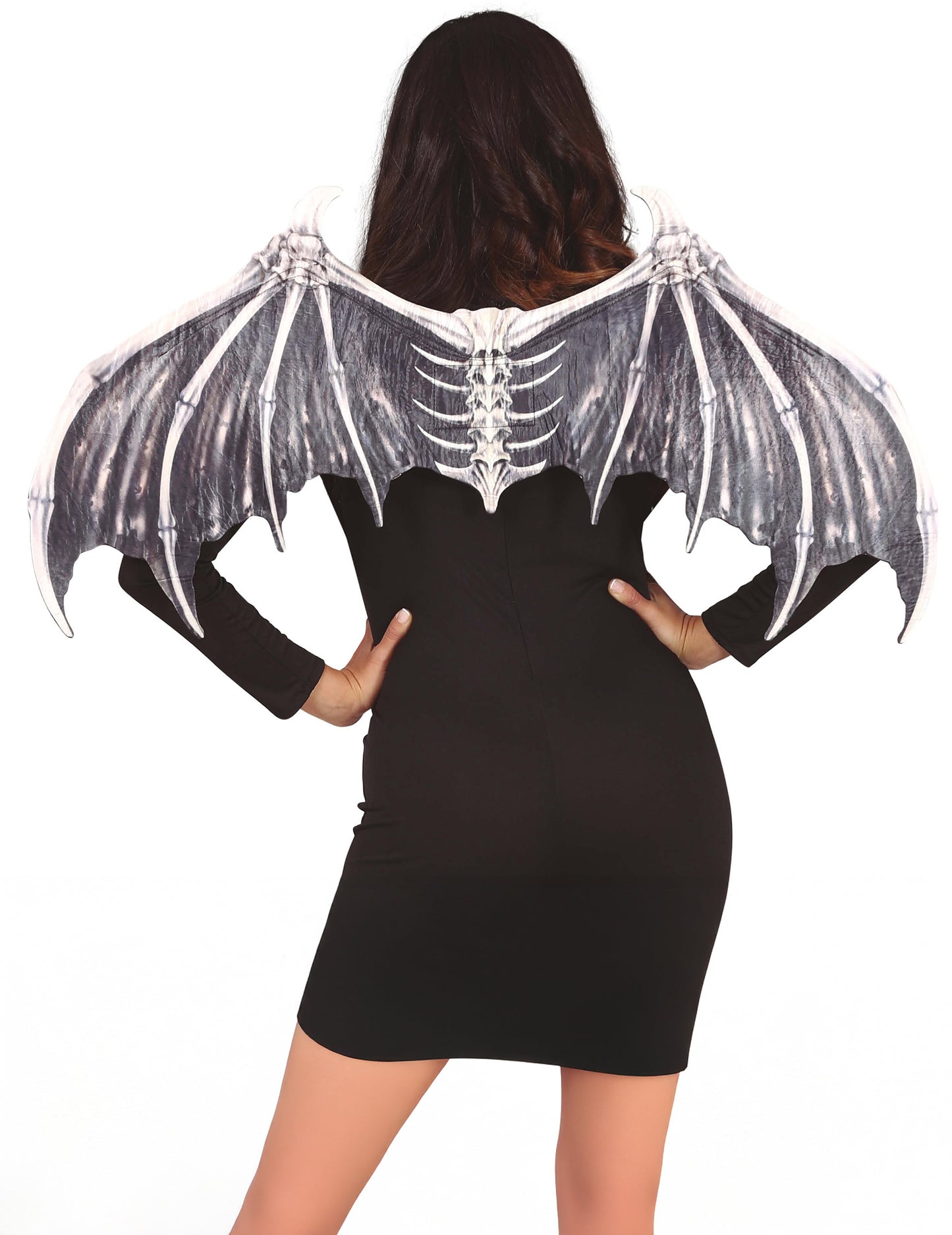 Aripi de schelet de liliac adult