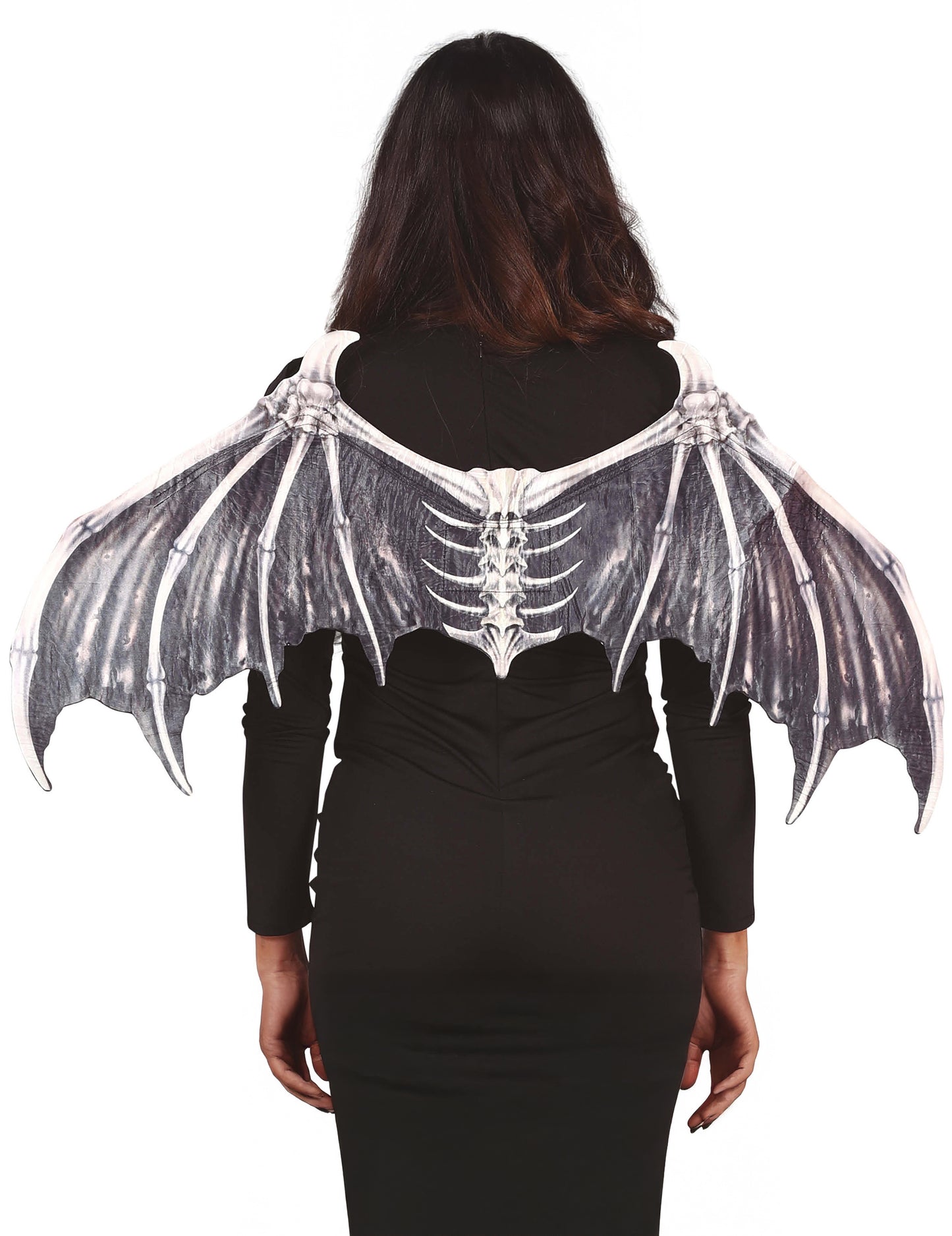 Aripi de schelet de liliac adult