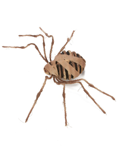 Araignée momie marron et beige avec bandelettes