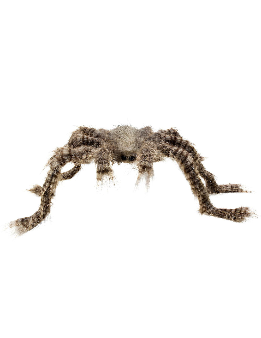 Araignée velue pour décoration marron et grise