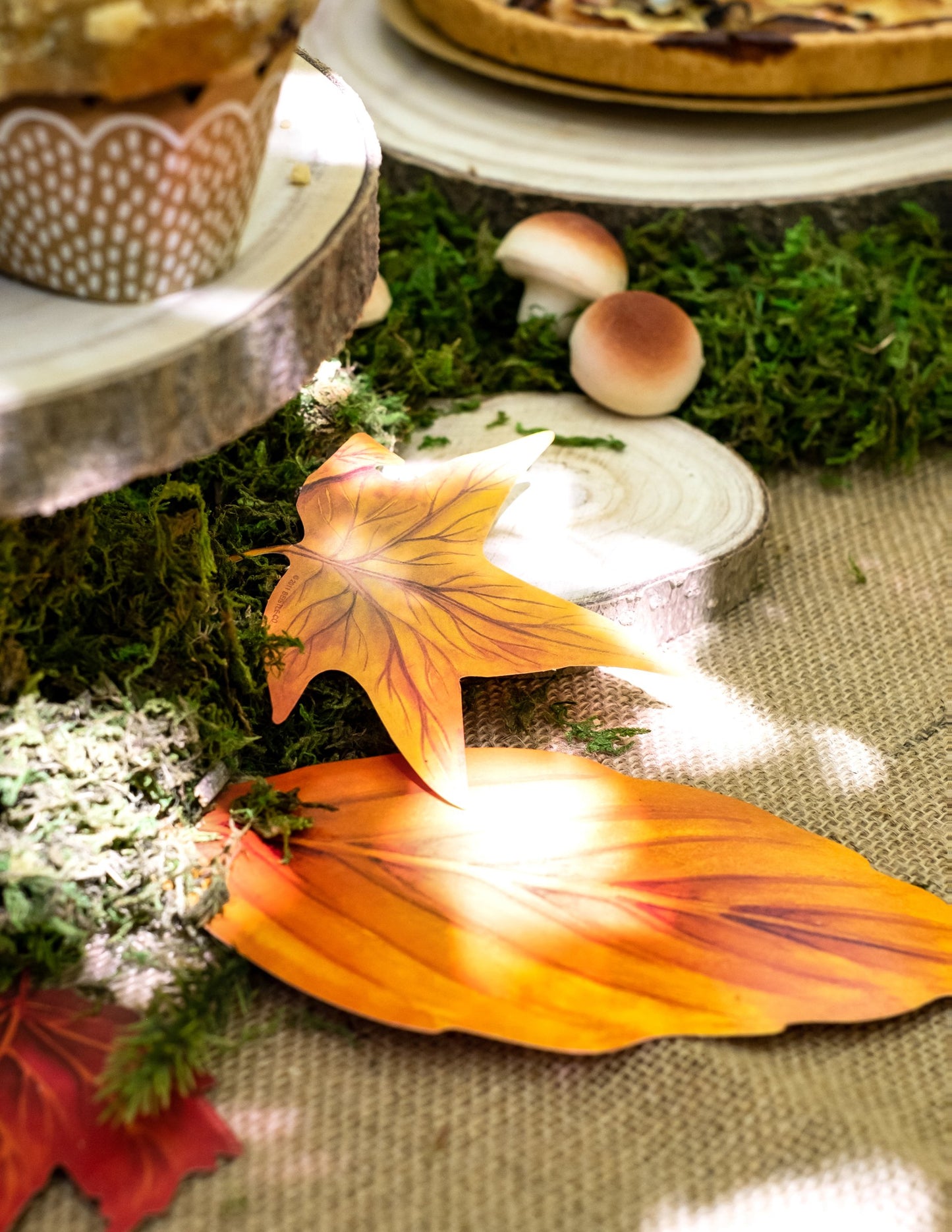 Set de 11 frunze de toamnă din carton 