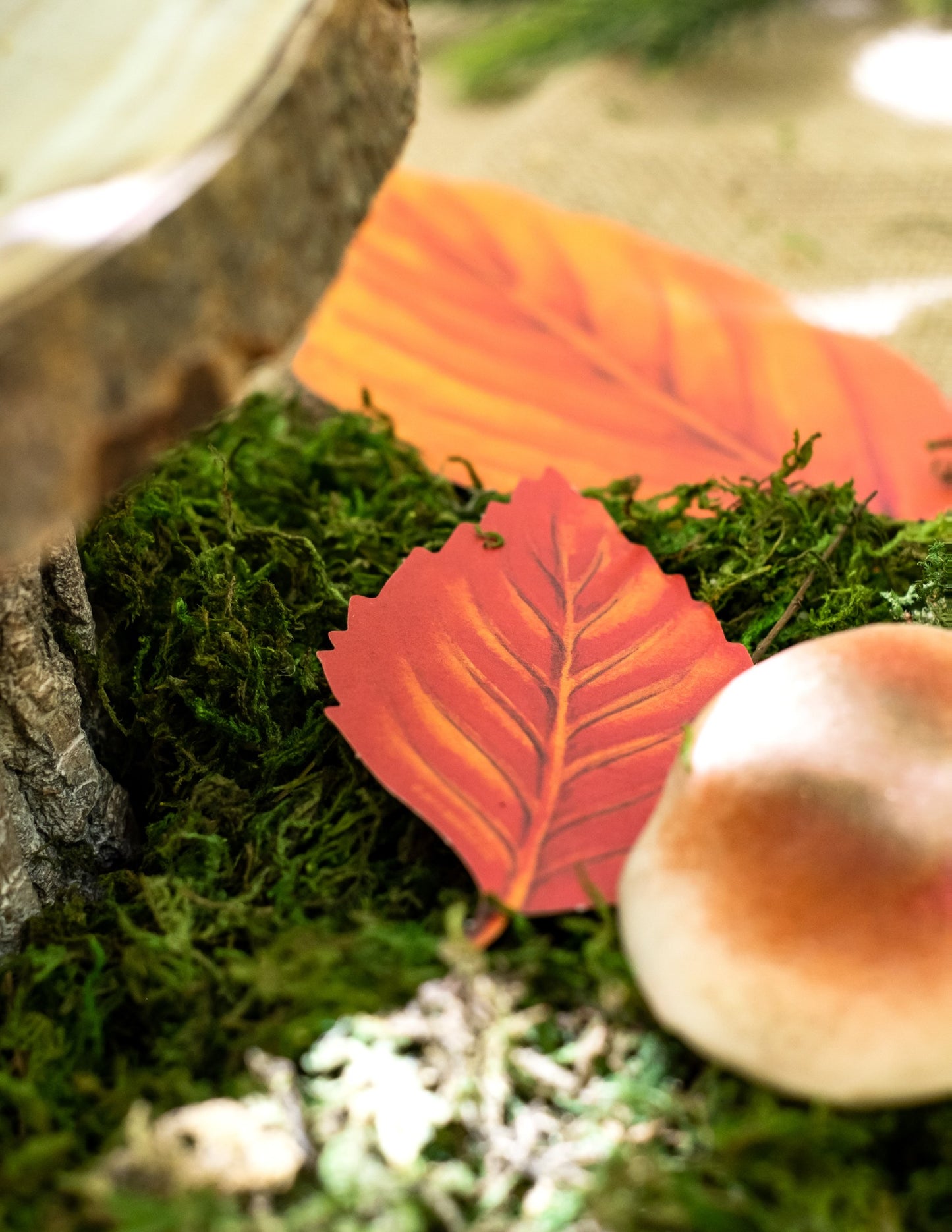 Set de 11 frunze de toamnă din carton 