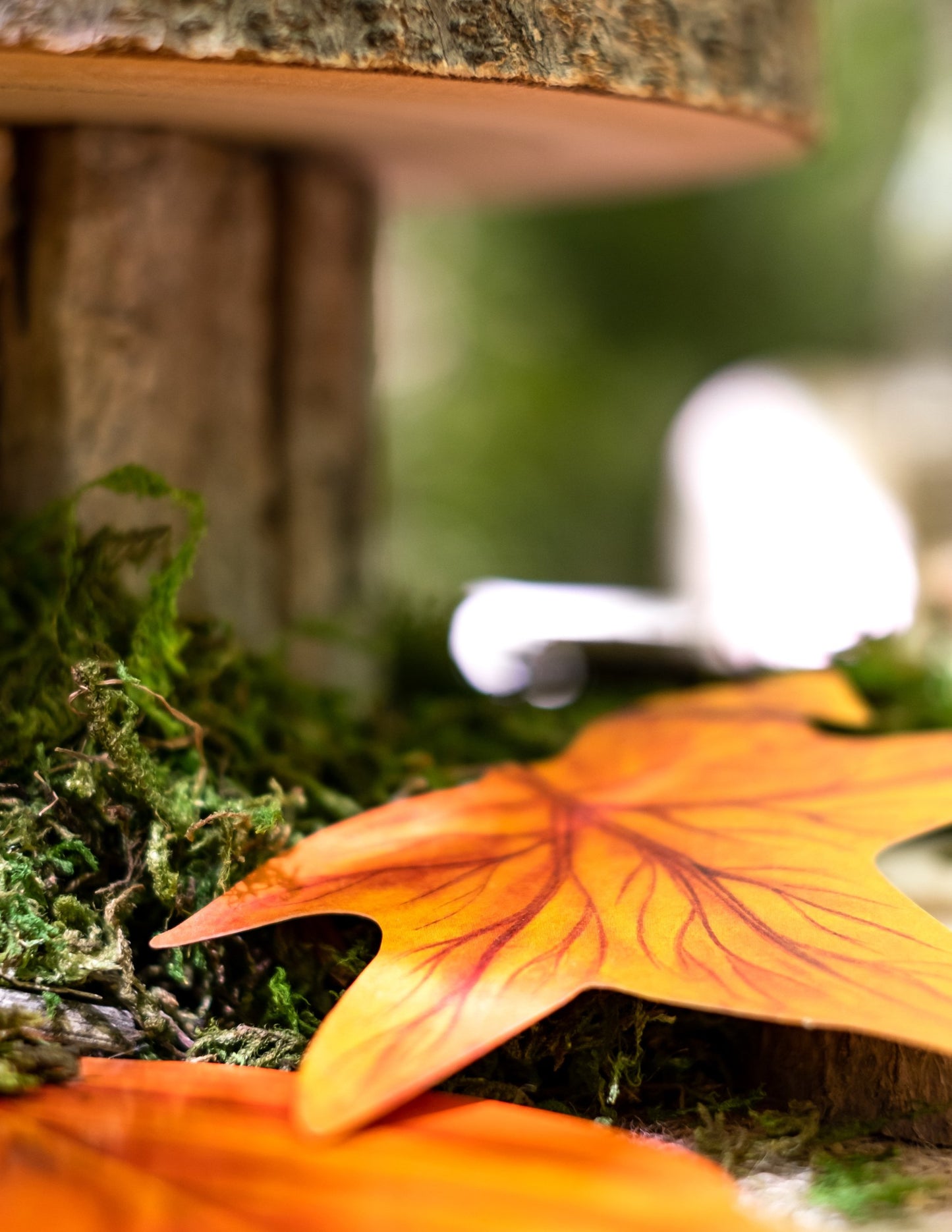 Set de 11 frunze de toamnă din carton 